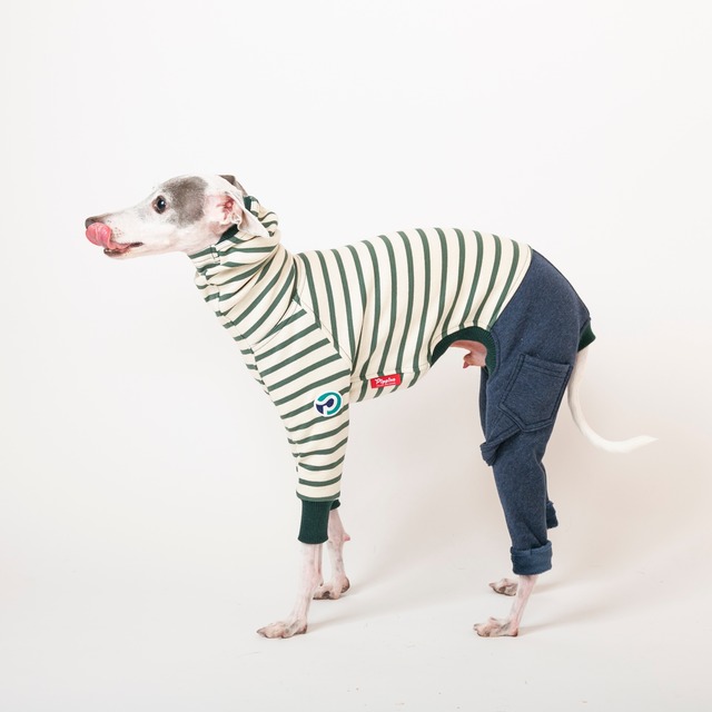 ボーダーファッションロンパース　green / イタグレ服