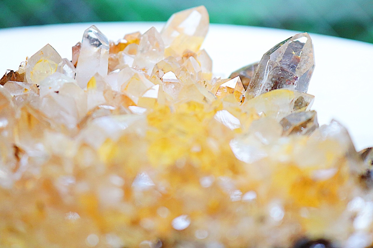 文武両道で才能を引き出す