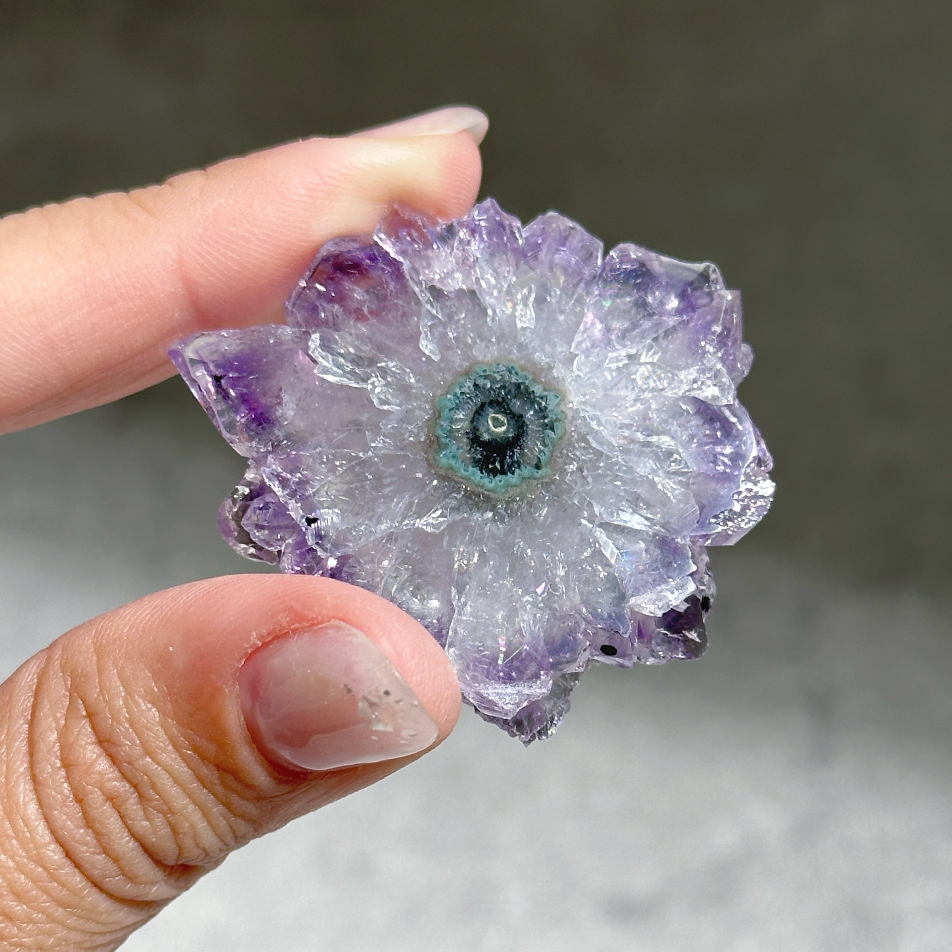 フラワーアメジスト スライス34◇ Flower Amethyst ◇天然石・鉱物