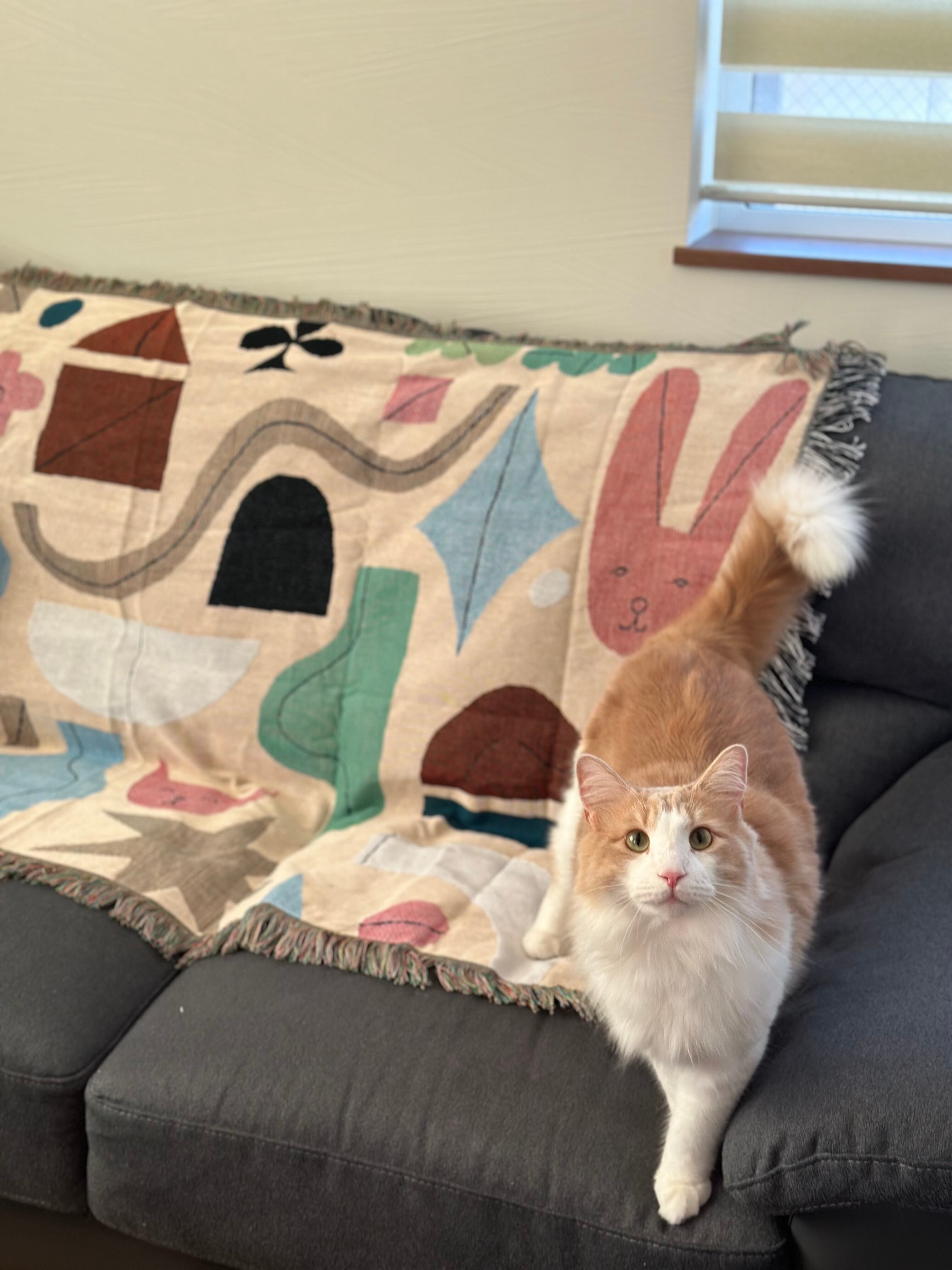 【OLYA】Tapestry rug Rabbit