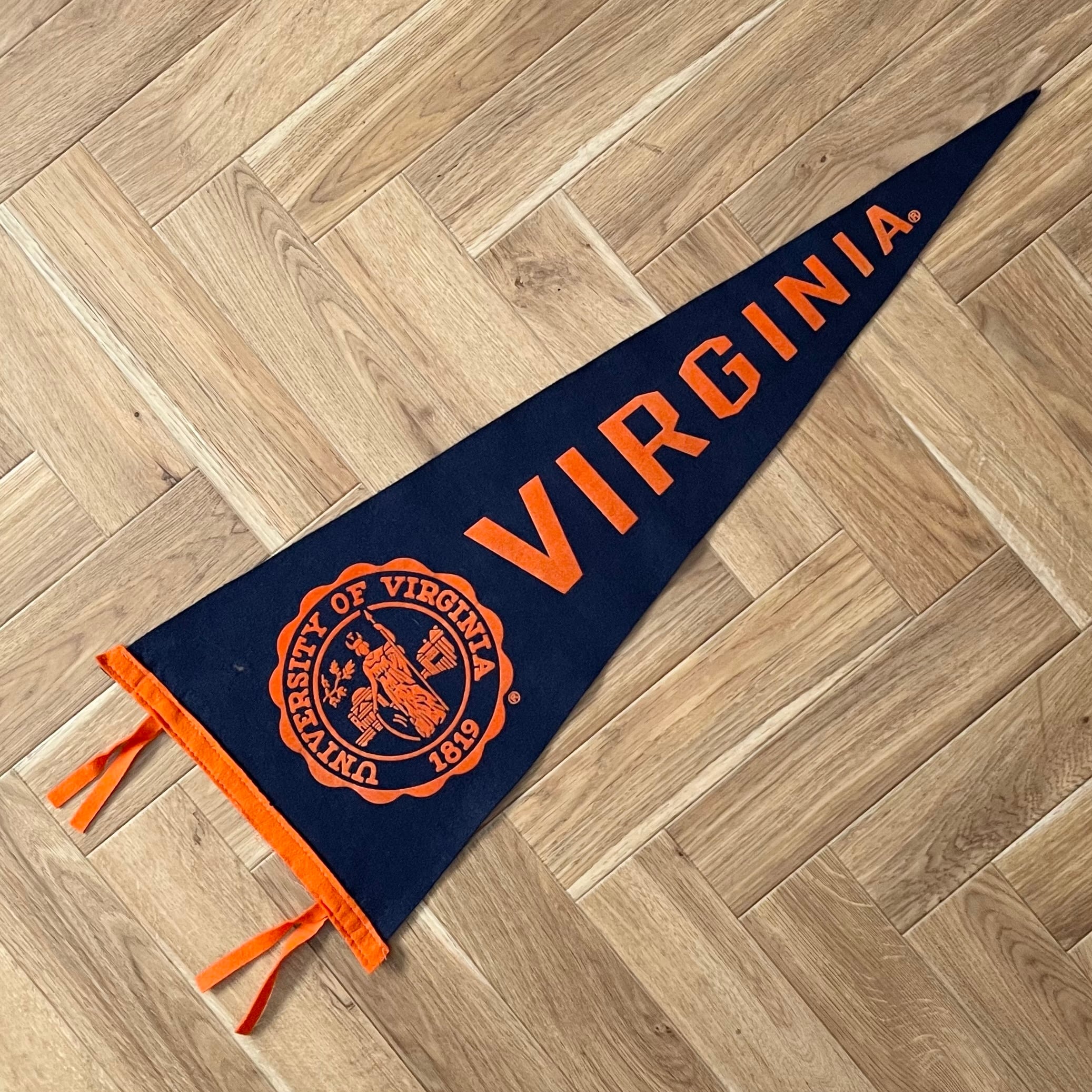 【Large】University of Virginia ヴィンテージペナント