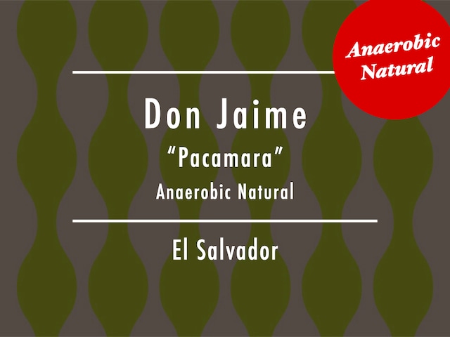 【お得！500g】エルサルバドル / Don Jaime "Pacamara" Anaerobic Natural