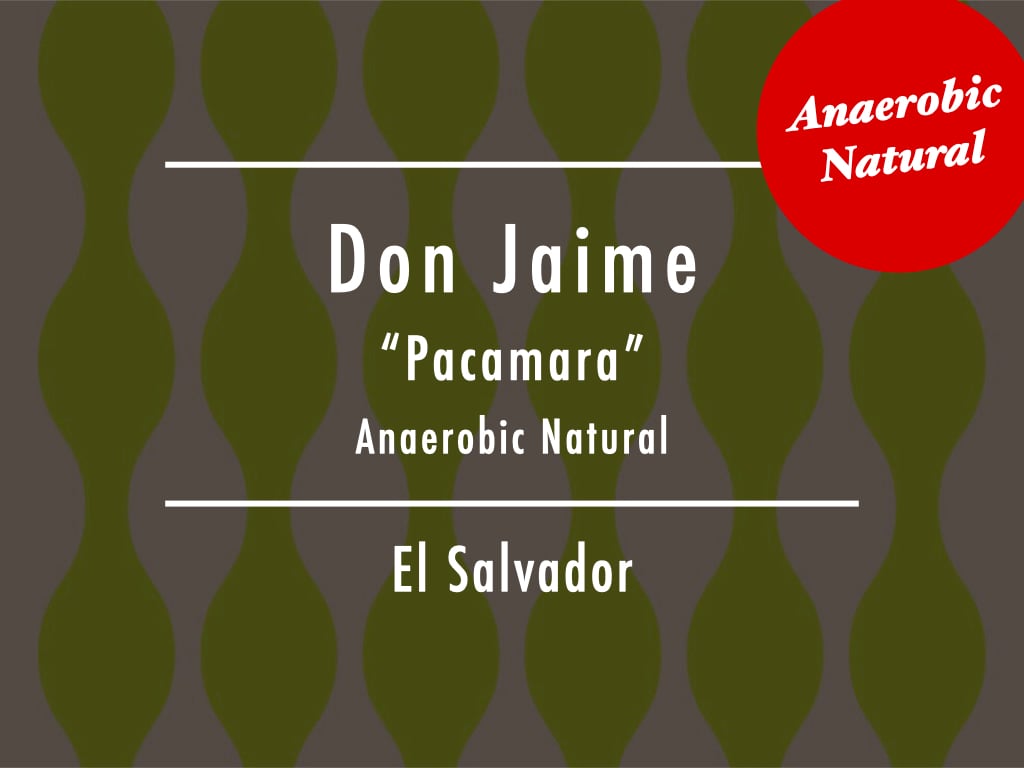 【お得!500g】エルサルバドル / Don Jaime "Pacamara" Anaerobic Natural