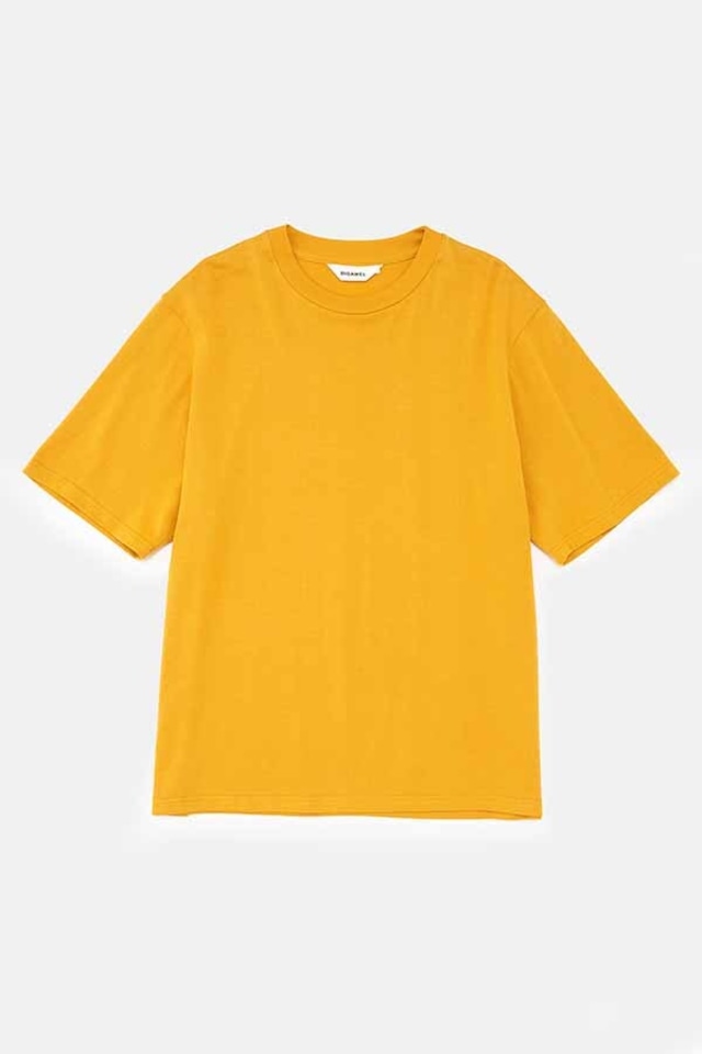 DIGAWEL / T-shirt (generic) (MUSTARD)