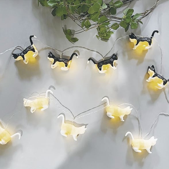 道楽堂 猫舎 季節のお飾り 外景色 春らんまん 道楽堂 猫舎 季節のお飾り 外景色 春らんまん 楽天市場】道楽堂猫