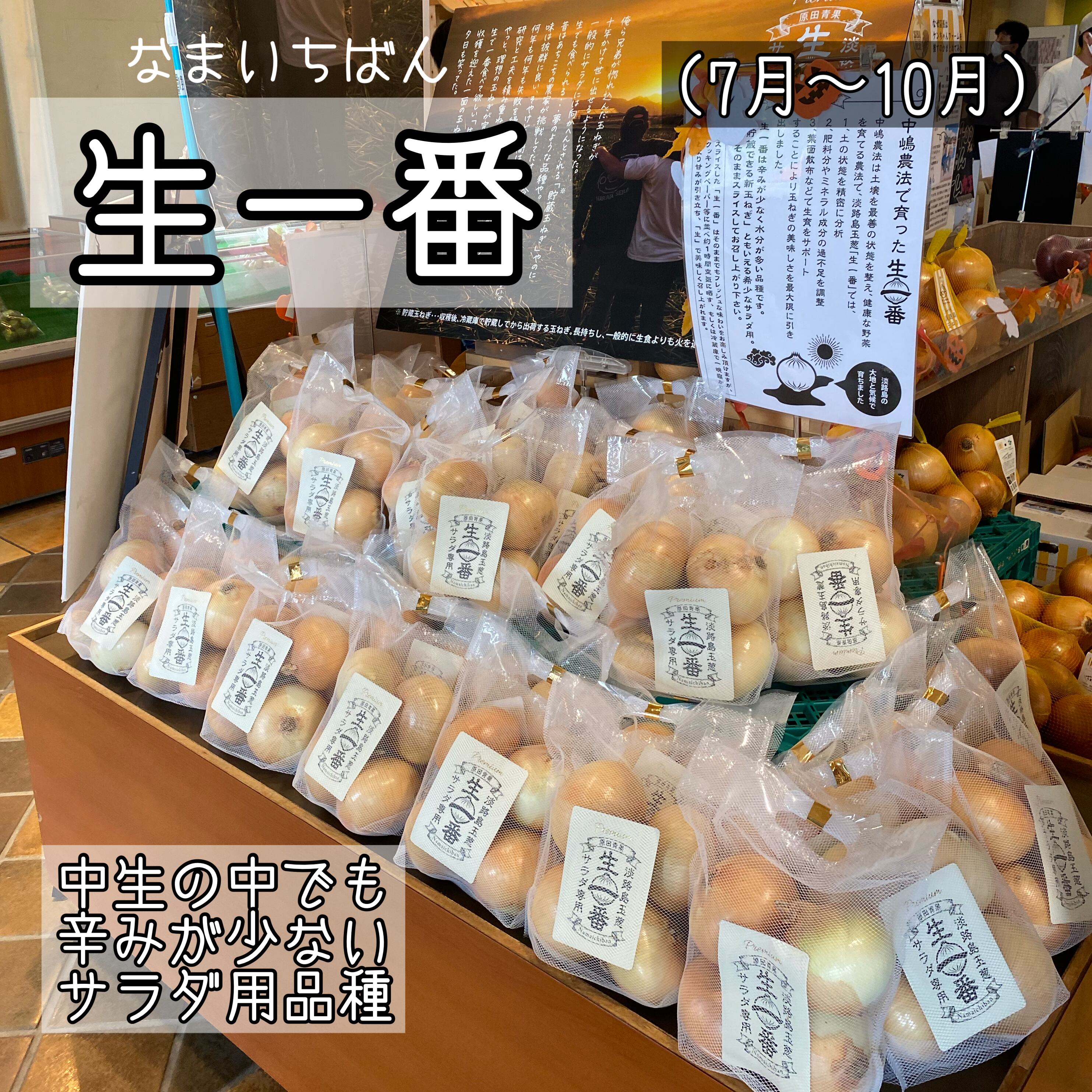 淡路島玉ねぎ　生一番　３kg 送料・税込み | 原田兄弟の一番玉ねぎ powered by BASE