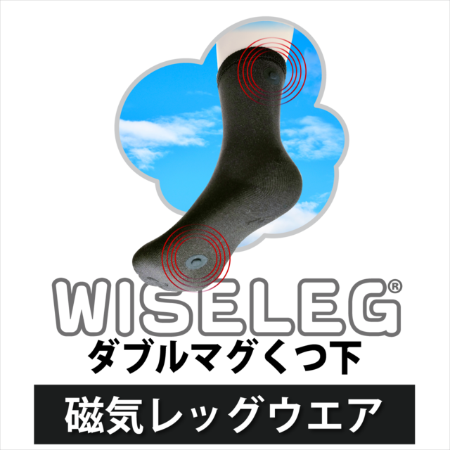 送料込み【管理医療機器】磁気レッグウェア WISELEG(ワイズレック）ダブルマグ くつ下 　磁気ソックス