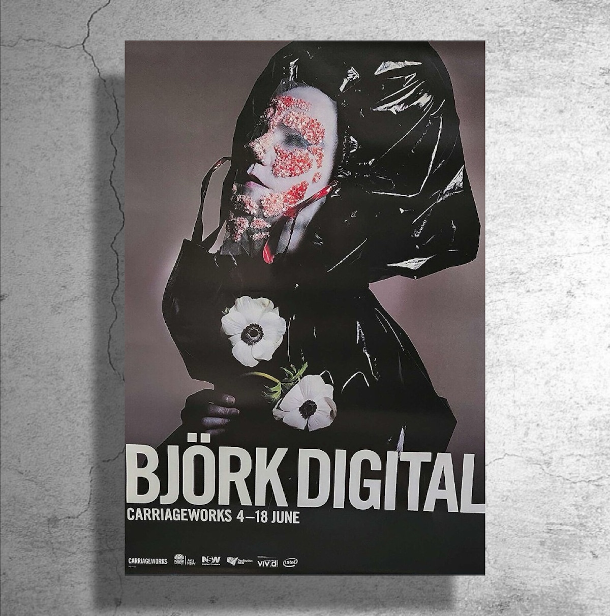Björk ビョーク ポートレートポスター 541ec46c317352f13c10d315ece9ab