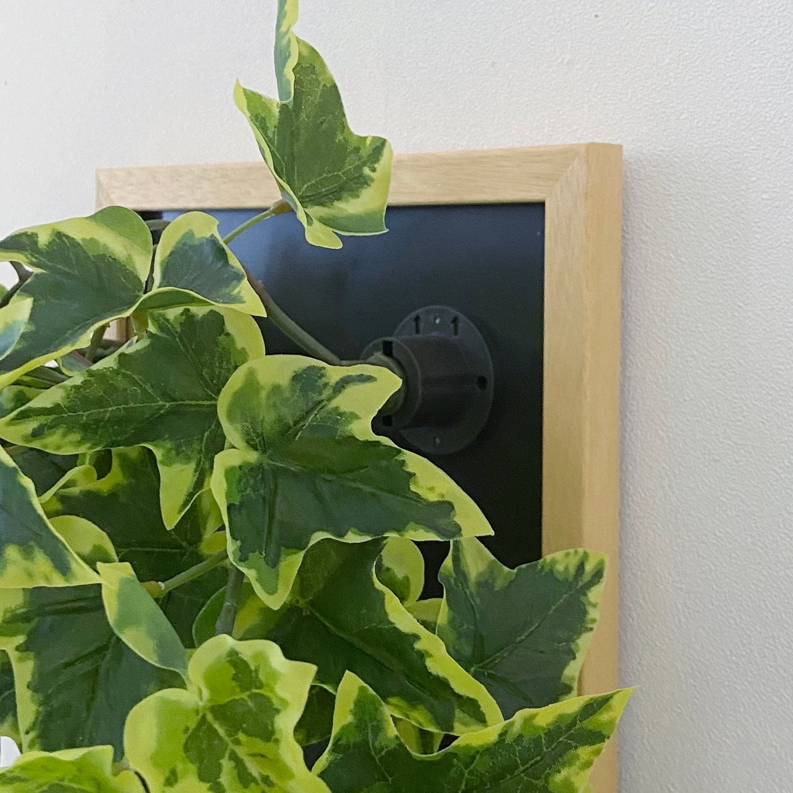 ロックフレームアレンジナチュラルA