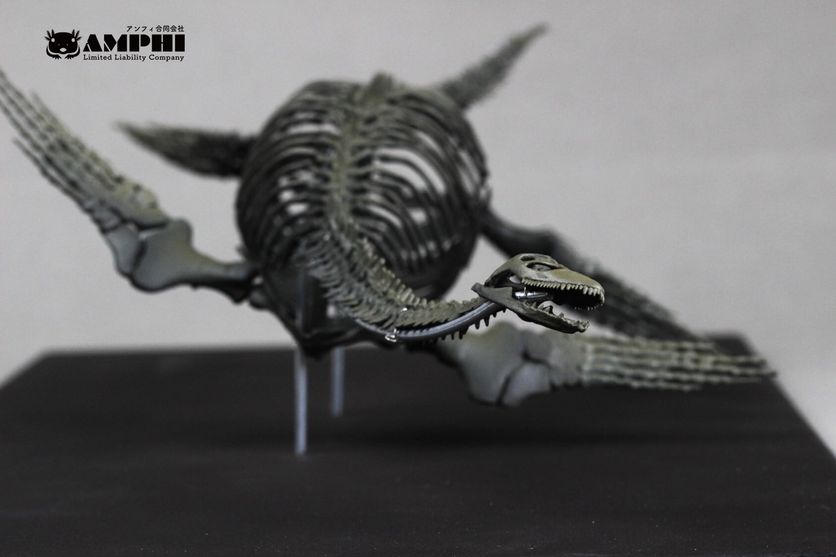 着色無し】始祖鳥レプリカ 約12㎝ | アンフィ合同会社