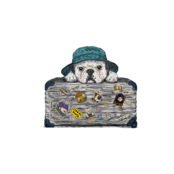 TABI/巾着/オーガニックコットン