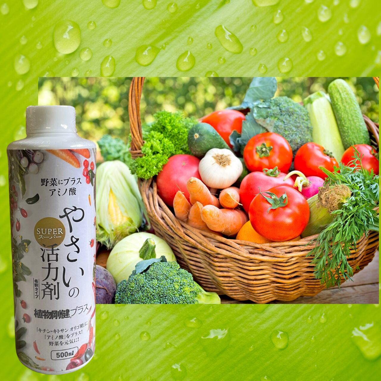 植物剛健 プラス 500ml キチンキトサン カニ殻 活力剤 家庭菜園 病害虫