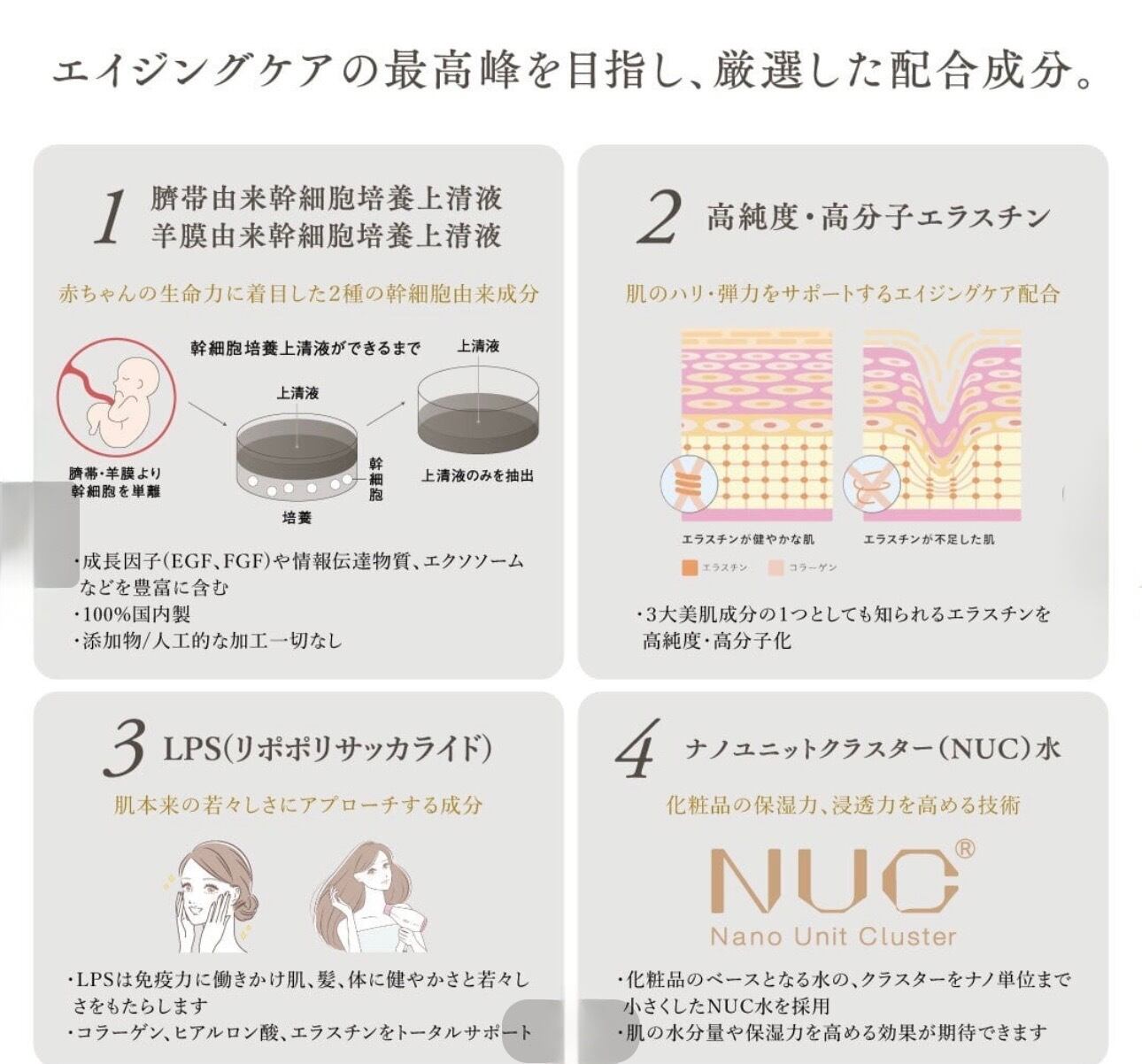 inside FOCUS インサイドフォーカス | Ada beauty place