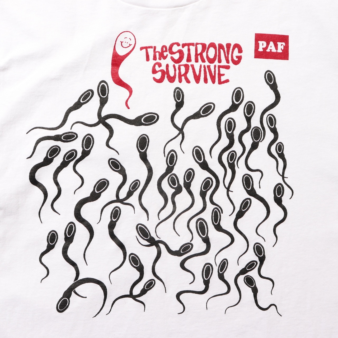 Deadstock XL 80s 90s シングルステッチ Tシャツ the strong survive 白 ホワイト