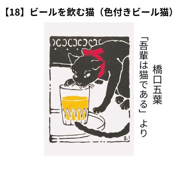 ISI PRESS vol.5 Misato Kuroda (ステッカー付き) | PAY ID