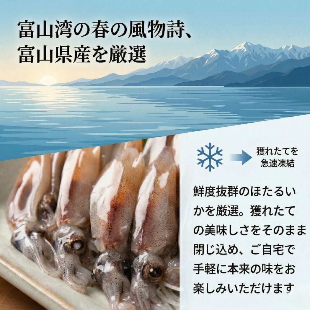 まぐろや 富山県産 ほたるいか 刺身 しゃぶしゃぶ用 100g 急速凍結