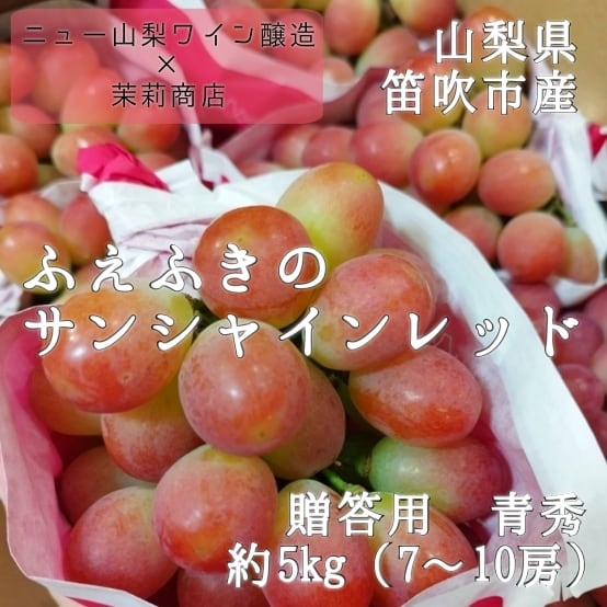 香菜(パクチー)3kg 業務用 千葉県産 ※送料別 | 茉莉商店