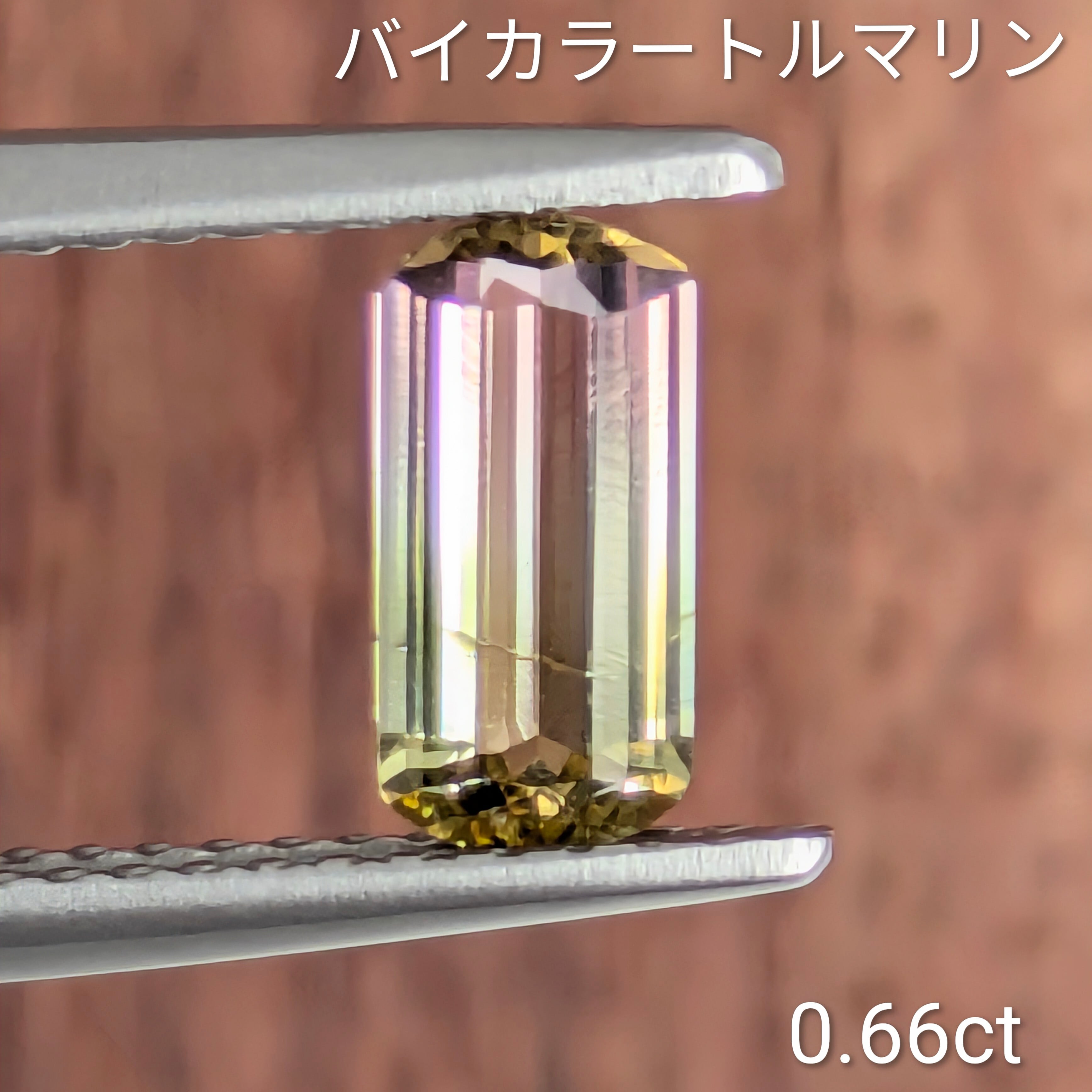 バイカラートルマリンルース 【0.66ct】 PRO208954 | Gem's Subculture