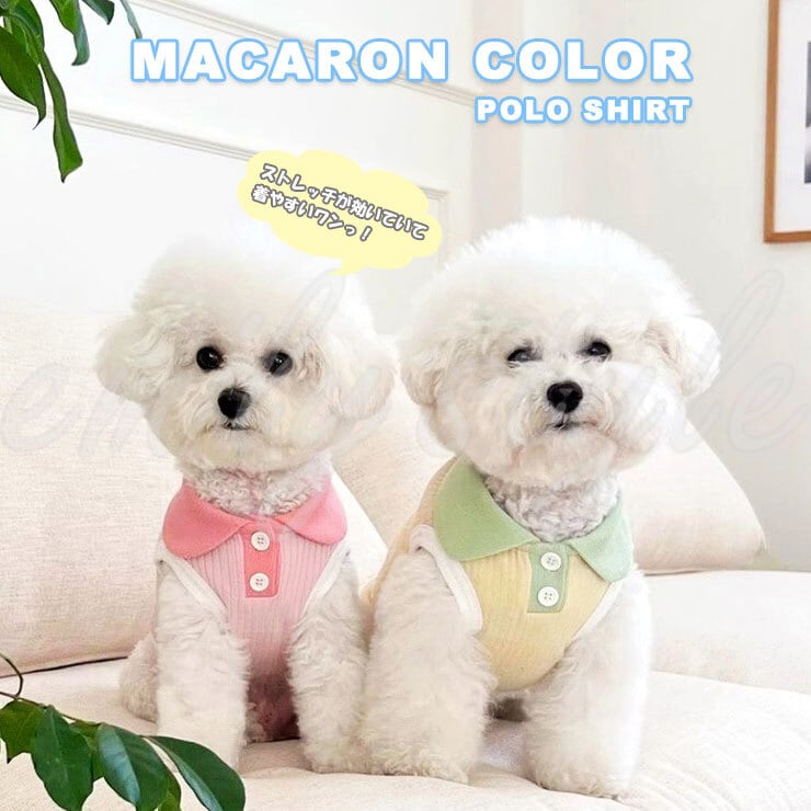 マカロンポロシャツ風デザイン♪ ドッグウエア タンクトップ 犬服 犬