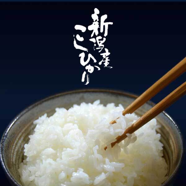 新潟米 令和7年産] 新潟産コシヒカリ 5kg 新潟米の奏〜① | 越後米蔵商店