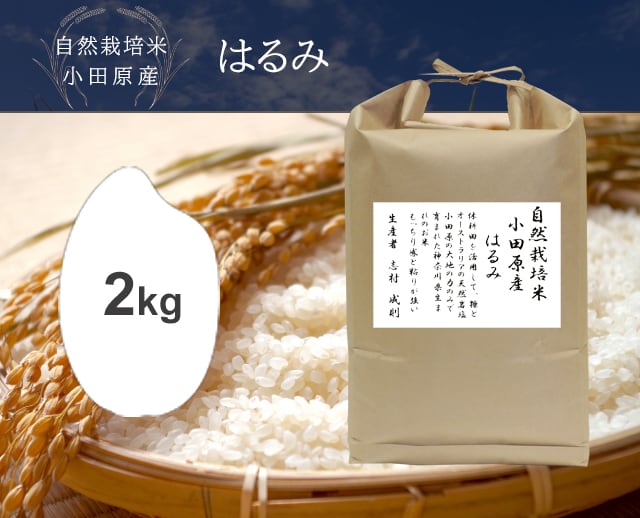 笹屋米店　2kg　はるみ（神奈川県）