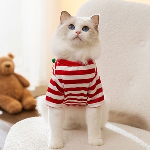 【PET】3色展開立体的なフルーツ付きボーダー柄Tシャツ