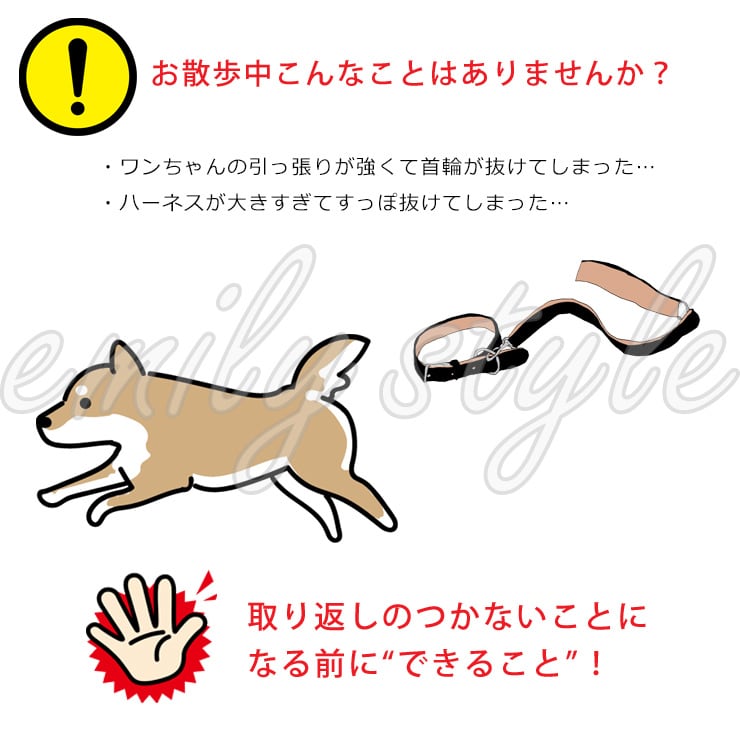 首輪とハーネスをつなぐジョイントリード】 ジョイント フック すっぽ