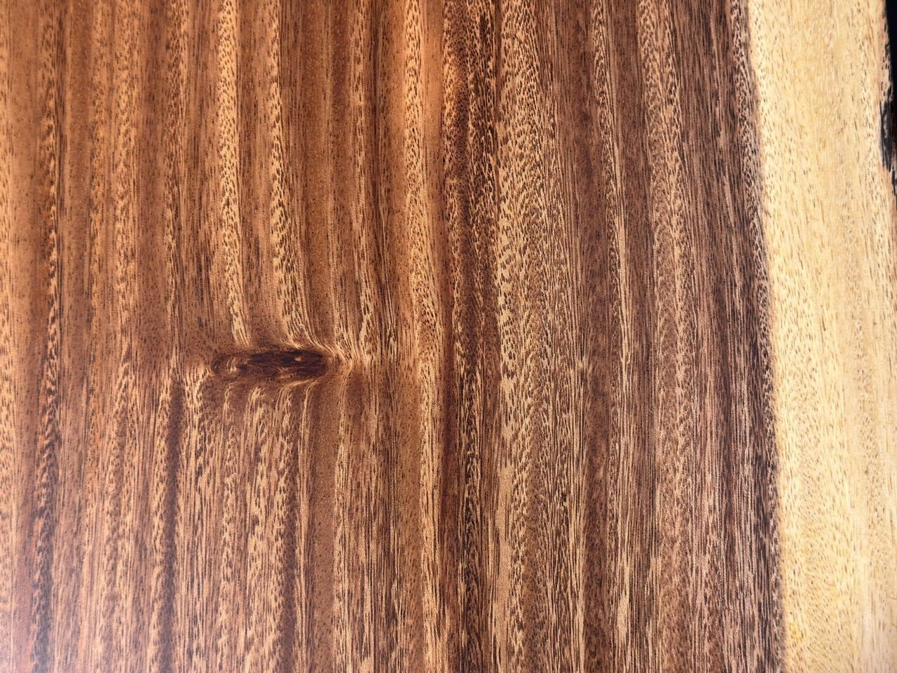 モンキーポッド_1500×500×50_横浜元町店_テーブル天板/一枚板 252532-1