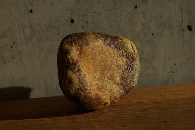 ゴビアゲート Gobi Agate 1451