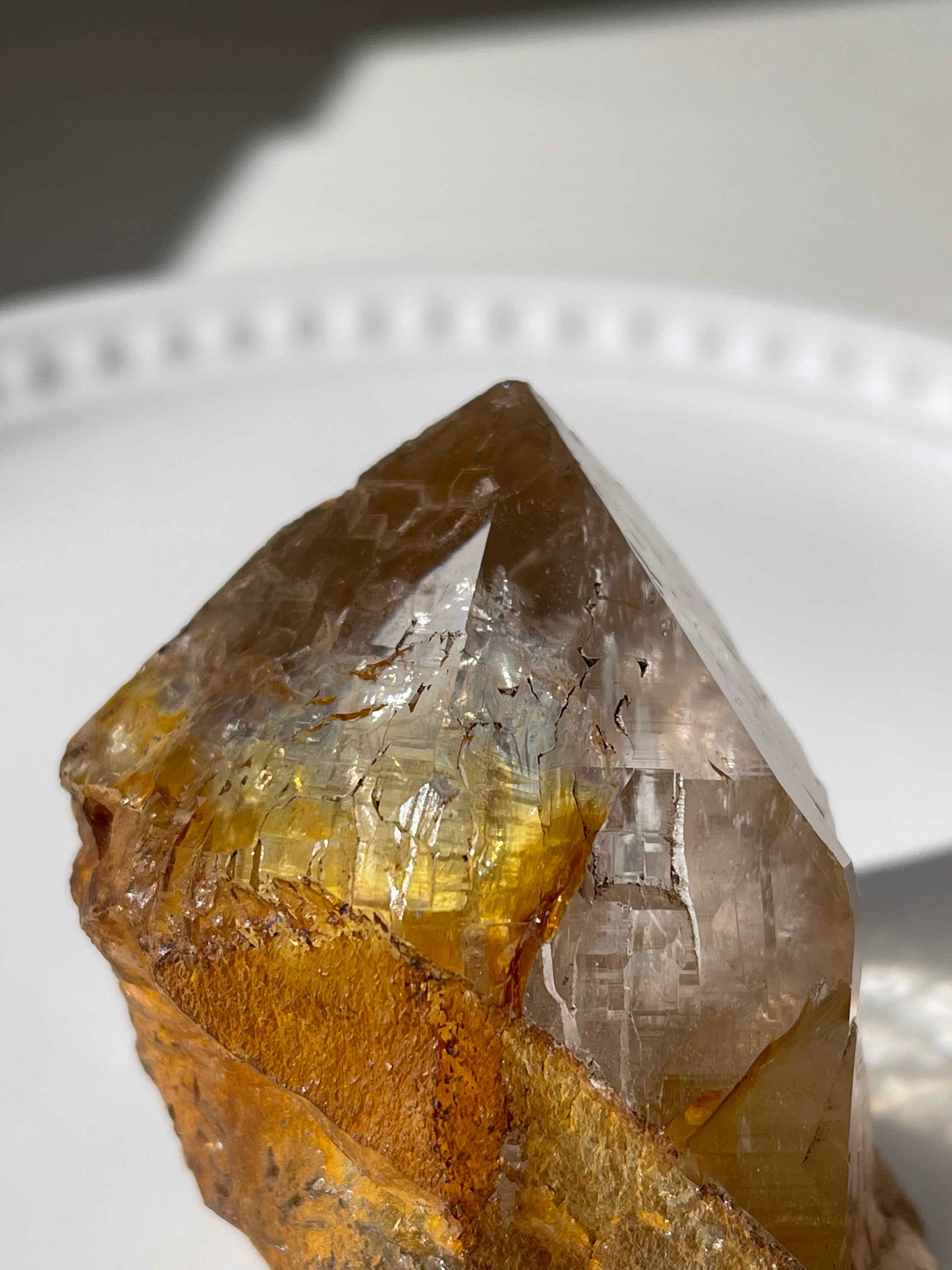 Ganesh Himar Golden Healer / ガネーシュヒマールゴールデンヒーラー