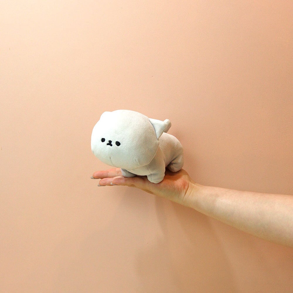 mof】テノリマスコット ブリティッシュショートヘア /TM111-3 | ACCENT