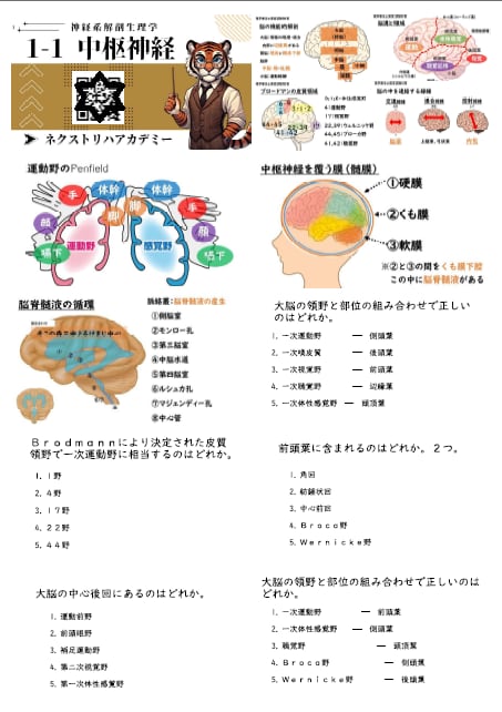 5447ee35b4a0841b5e6f1a8b5d9346