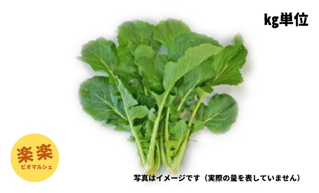 大和真奈(大容量お得サイズ・1㎏単位)