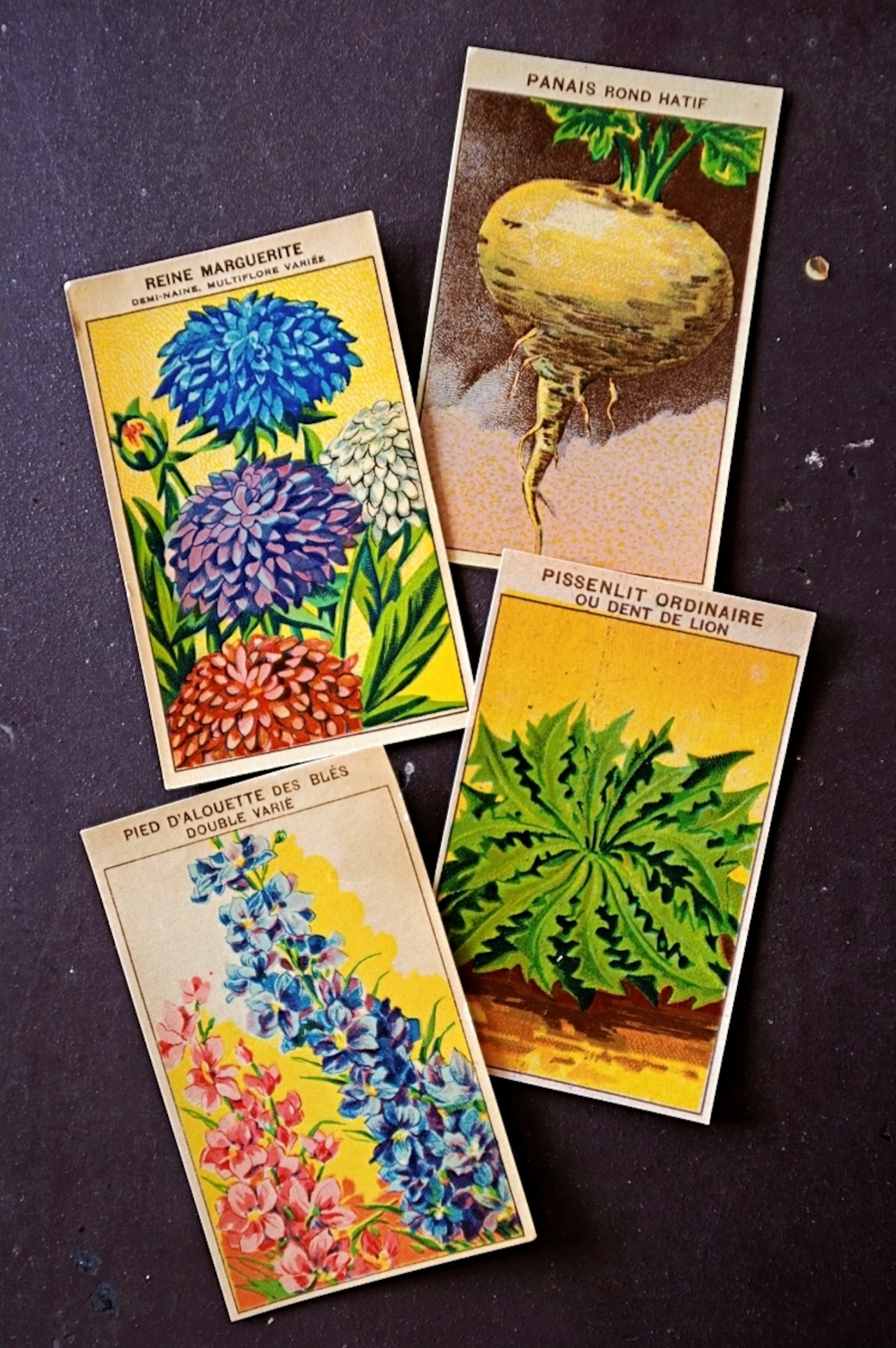 20s フランス 4set 膨満な花々と野菜たち 種子袋用ラベルz アンティーク