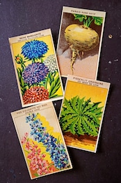 20s フランス 4set 膨満な花々と野菜たち 種子袋用ラベルz アンティーク