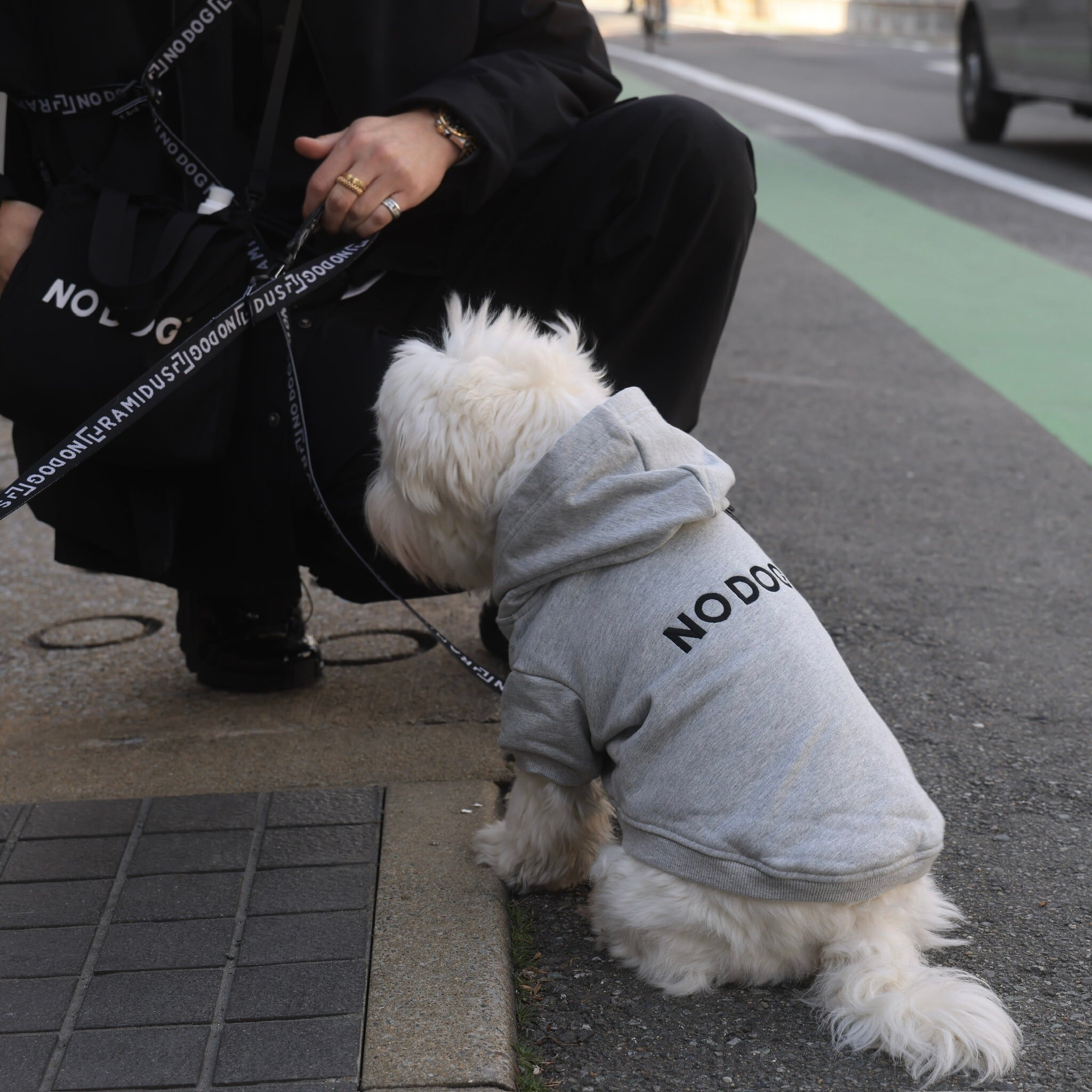 NO DOG 犬服 パーカー | NO COFFEE