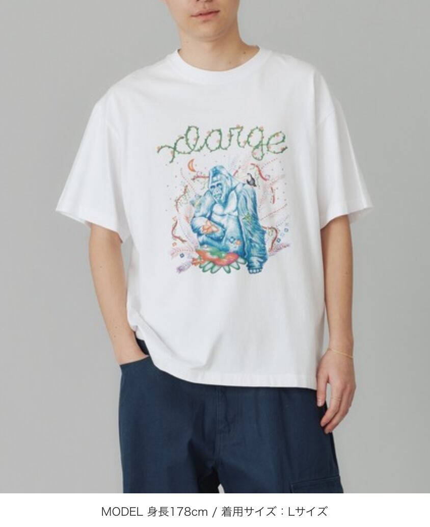 XLARGE フィール ネイチャー 半袖 Tシャツ 送料込 XLARGE】FEEL NATURE S/S TEE 半袖Tシャツ 【エクストララージ