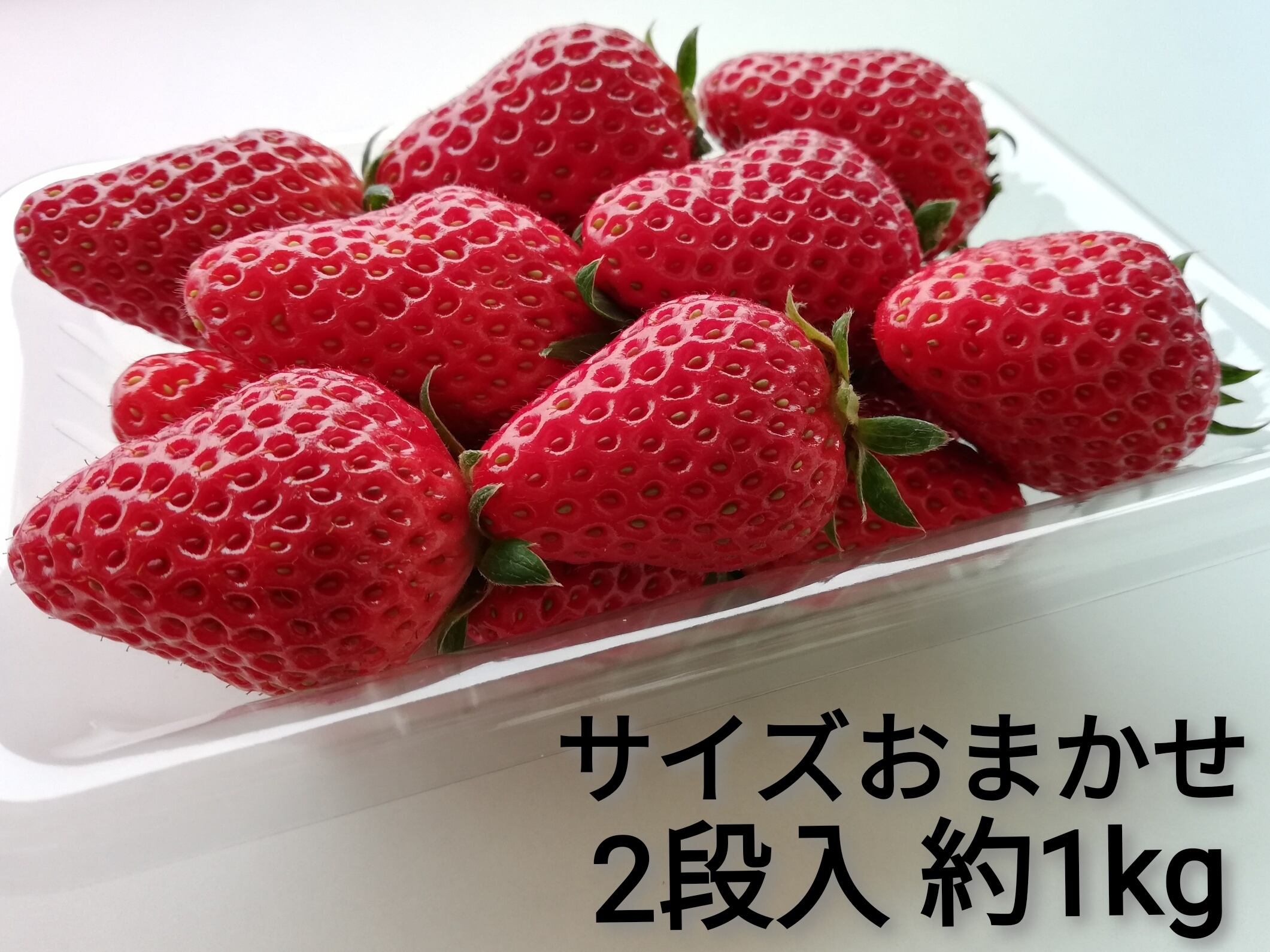 サイズおまかせ！ 淡路島いちご 4パック入り 苺イチゴストロベリー 