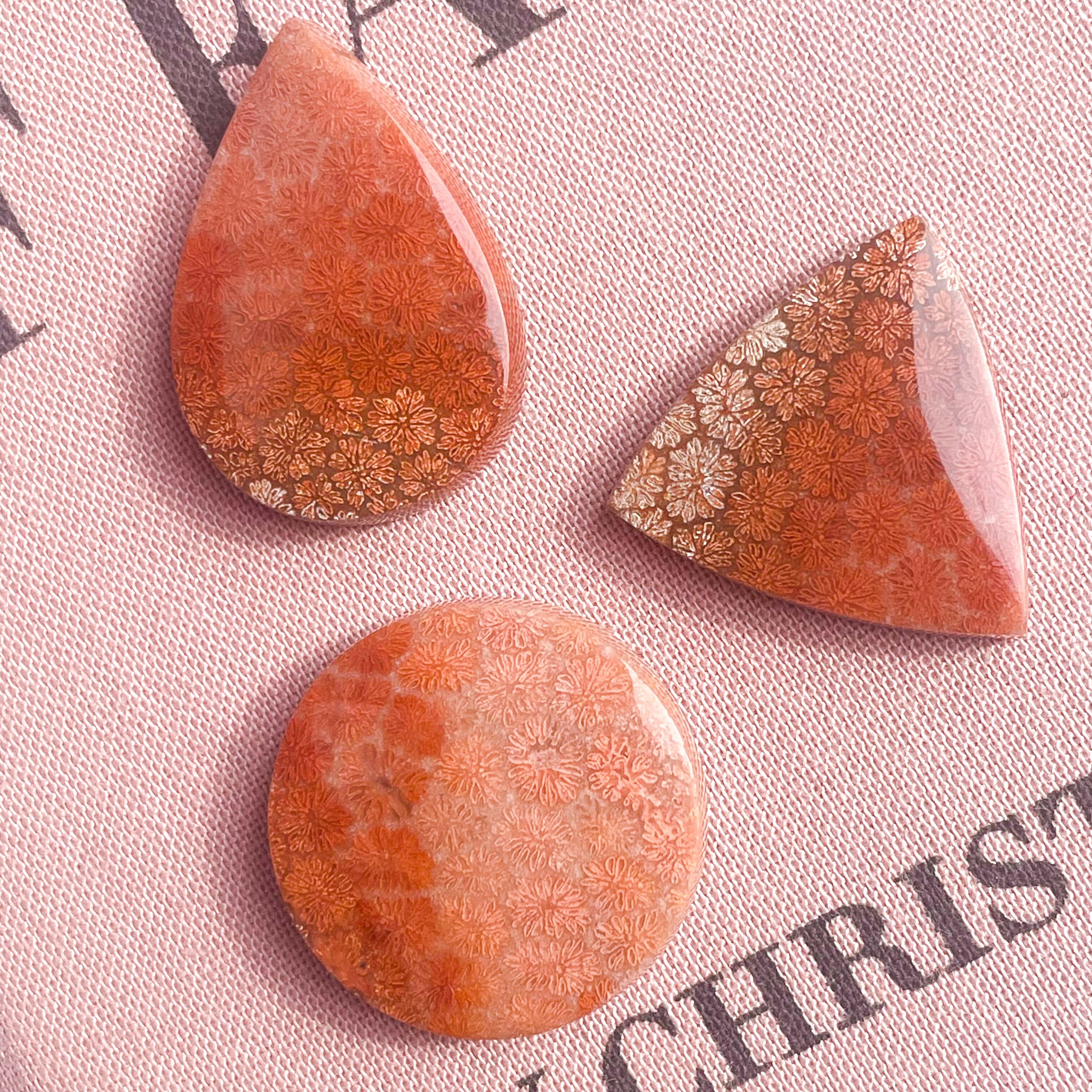 Fossile Coral Triangle ✧ フォッシルコーラル (化石珊瑚) | FLUXY