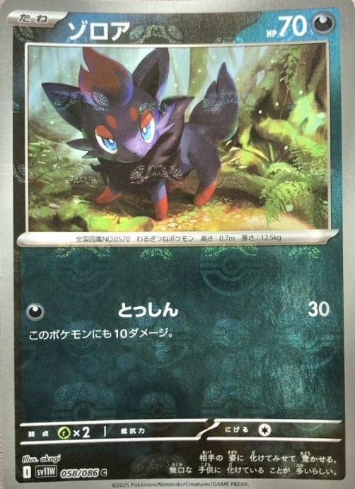 【Bランク】ゾロア(マスターボール(ミラー)