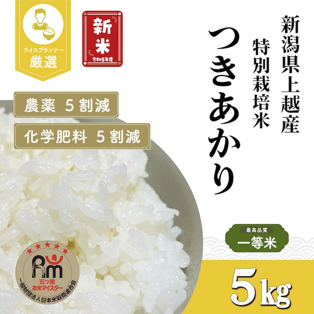 令和5年産 兵庫県丹波篠山産 特別栽培米 こしひかり（玄米） ５kg