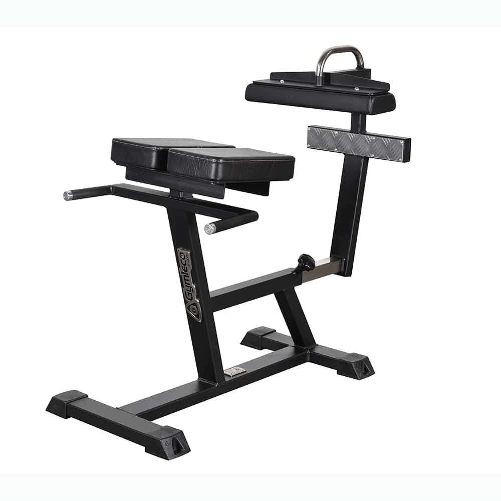 世界最小クラスのトレーニング機器　フィードバックディスク　2個セット 162F90 バックレイズ90° | gymlecojapan