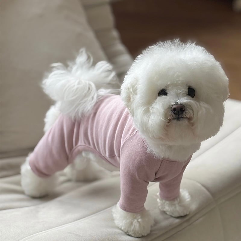 for pets only ロンパース オールインワン/ロンパース | ropet