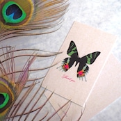 Thank you カード 5枚入り(ニシキオオツバメガ)