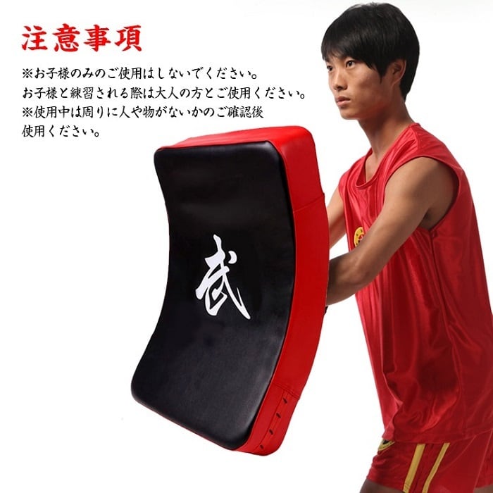 ビッグミット 打撃ミット キックミット 大きいサイズ 総合格闘技 厚み