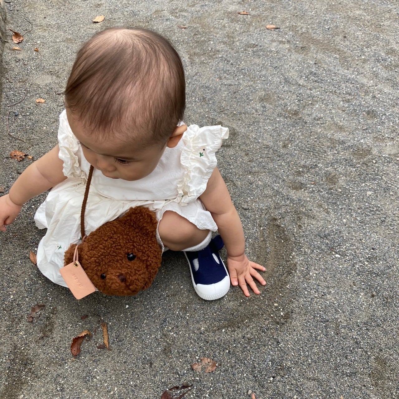 値下　BABY 限定くまくみゃ ポシェット サンフランシス－コ　新品　レア BABY, THE STARS SHINE BRIGHT ポシェット