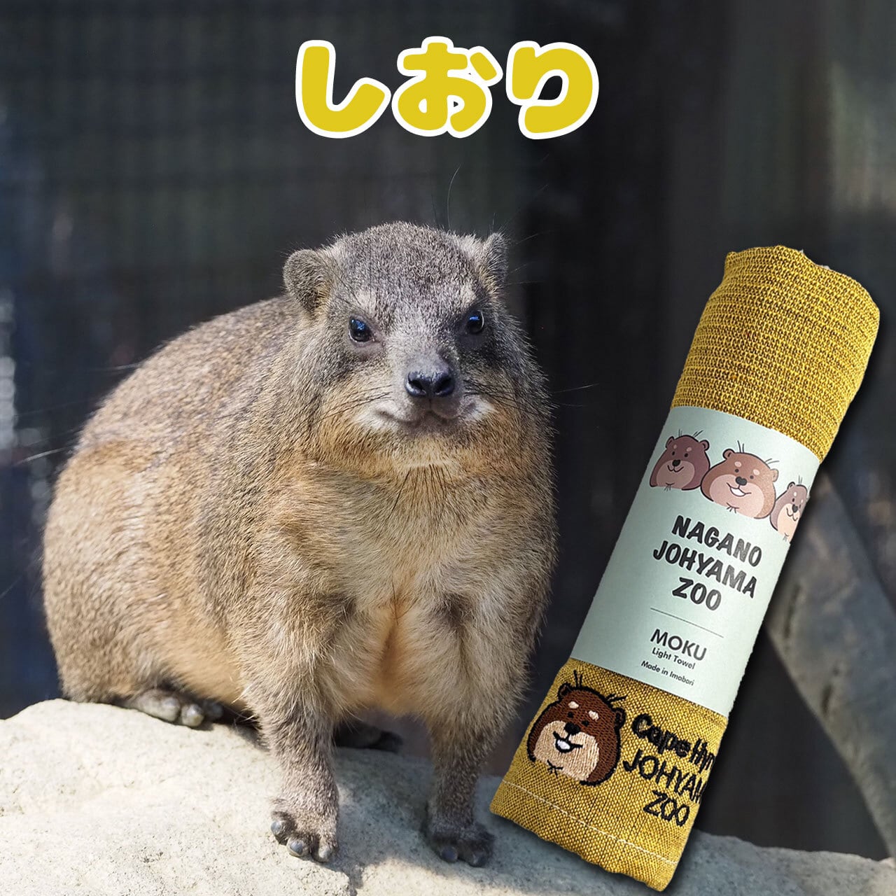 ケープハイラックス MOKUタオル（イエロー） | ZOOっとながの
