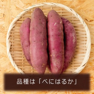 冷凍 蜜やきいも（紅はるか）500g（一袋）