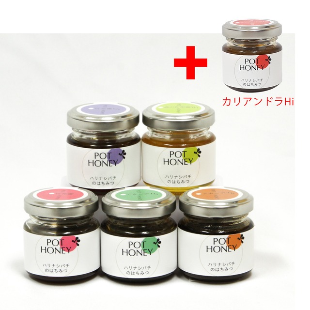 【お得！】ハリナシバチの蜂蜜　POT HONEY　6種食べ比べセット　各40g