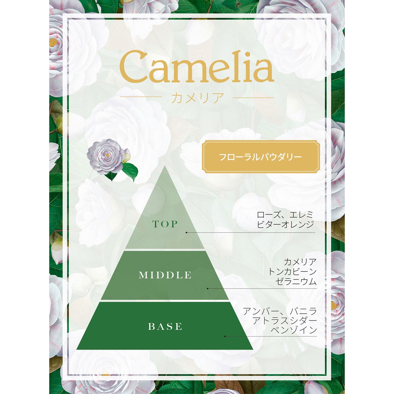 【Camelia】カメリア  パフューム　50ml｜レルボラリオ L'ERBOLARIO